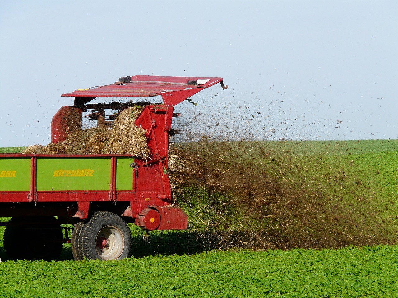 How to Use Manure in Your Garden the Eco-Friendly Way?